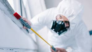 Best Pest Control for Multi-Family Homes  in Flushing, MI